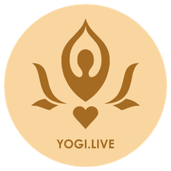 Yogi.Live